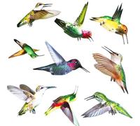 Paquete de 9 Pegatinas Anticolisión de Pájaros Evita que los Pájaros Golpeen las Pegatinas Ventanas para Ventana Doble Cara Bricolaje Electrostáticas