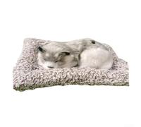 Paquete de carbón para interior de coche con bonita almohadilla de tela animal para absorción física de formaldehído y compuestos volátiles (Huskimos con orejas)