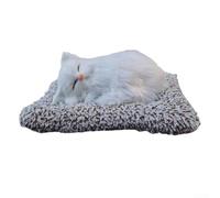 Paquete de carbón para interior de coche con bonita almohadilla de tela animal para absorción física de formaldehído y compuestos volátiles (gato blanco)
