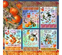 Paquete de pegatinas holográficas # Girls Loves Fruits HANATABA Vintage Art Deco estilo pared portátil grande vinilo holograma pegatinas