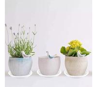 Paquete de platillos de plástico para macetas, 30 piezas, para gestionar el drenaje del agua y los daños en entornos de jardín en casa (25 cm)