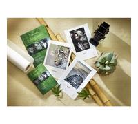 Paquete de prueba de l nea natural FineArt de Hahnemuhle, tama o A3+