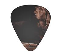 Paquete de variedad acústica Paquete de púas de guitarra de 12 que incluye púas de guitarra delgadas, medianas y pesadas Brown Labrador Retriever