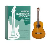 Paquete desecante multiusos | Bolsa absorbente de humedad de gel de sílice | Deshumidificador portátil de 40 g, gel de sílice, deshumidificador de alimenticio para teclado, guitarra Erhu