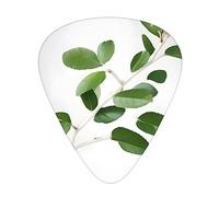 Paquete variado de púas de guitarra - 3 opciones de grosor, ideal para guitarras eléctricas y acústicas, ramita blanca natural verde