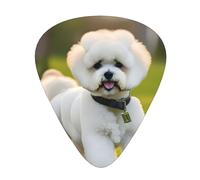 Paquete variado de púas de guitarra - bordes lisos, patrones duraderos y claros - 3 opciones de grosor Bichon Frise Dog on the grass
