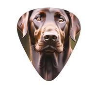 Paquete variado de púas de guitarra, bordes lisos, patrones duraderos y claros, 3 opciones de grosor, color marrón Labrador Retriever