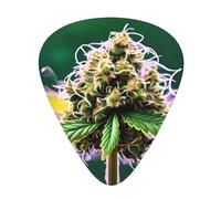 Paquete variado de púas de guitarra, bordes lisos, patrones duraderos y claros, 3 opciones de grosor, marihuana con un soplo en el tiempo (2)