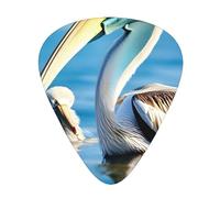Paquete variado de púas de guitarra - bordes lisos, patrones duraderos y claros - 3 opciones de grosor Pájaro Pelícano azul cielo marino