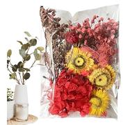 Paquetes de flores secas, suministros de artesanía de pipa seca- Poppi de escena- Boda decorativa- Decoración de boda- secos: decoración floral: decoración colorida, versátil de ardilla seca para c