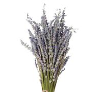 Paquetes De Lavanda - Bunch Seco Natural | Símbolo De Ramo Amor Para La Arreglo De Flores De Bricolaje -usted Ayudan A La Decoración Hogar Florero De Pared Sueño