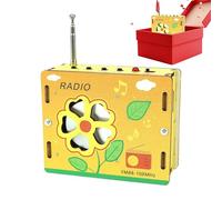 Paquetes de Radio - Modelo Físico de la Ciencia Juguetes - Construye Tu Propia Radio,para Entusiastas de Educación en Casa, Padres, Maestros y Educadores, Proyectos Escolares,