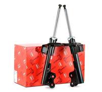 Par De Amortiguadores Delanteros A Gas TRW Mercedes Clase A (W169) B (W245)