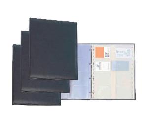 PAR TARJETERO PROFESIONA A4 NG 617501