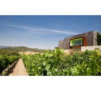Para 1 persona: paseo por el viñedo visita a las bodegas y cata de 3 vinos