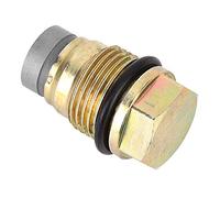 Para / / / 110010015 Válvula de limitación de presión de combustible adecuado para tubo distribuidor de combustible, válvula de limitación de presión Dru