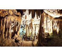 Para 2 adultos y 2 niños: Entrada a las Cuevas De Genova