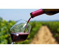 Para 2: cata de 4 vinos ecológicos con maridaje ibérico queso y pan de pueblo