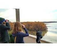 Para 2: excursión desde Sevilla a Doñana