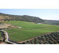 Para 2 personas: cata de dos vinos blanco y tinto con aperitivo