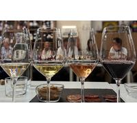 Para 2 personas: cata de iniciación al mundo del vino con degustación de ibéricos
