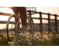 Para 2 personas: Ruta en bici entre viñedos con degustación de vinos y 1 botella de vino