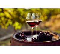 Para 2 personas: visita a bodega y cata de vino