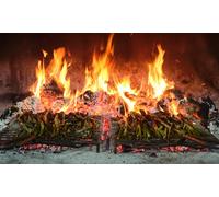 Para 2 personas: Visita a las cavas Canals & Munné con cata de cava y calçotada ilimitada