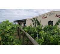 Para 2 personas: visita guiada a la bodega y cata de 3 vinos