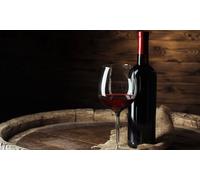 Para 2 personas: visita guiada y cata de vinos