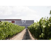 Para 4 personas: visita guiada a la bodega cata de 3 vinos y 2 botellas de vino