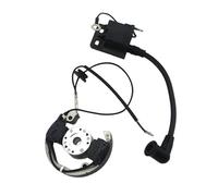 Para 50 Para SX 50cc Motocicleta Eléctrica Y Bobina De Encendido Pit Bike Rotor Interno Estator Magneto Accesorios 1X Bobina Estator