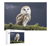 para Adultos 1000 PCS Rompecabezas Barn Owl in Stormy Sky Rompecabezas para Adultos Juguetes Antiestrés Difícil Difícil Actividades Divertidas En Casa 1000 PCS