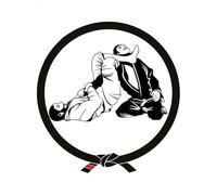 Para Arte Jiu-Jitsu Divertido Adhesivo De Coche Jdm Diy Camper Ocluder Raspado Impermeable Raspado Pegatinas De Cuerpo