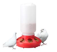 para Aves de Pollo - Botella de Agua de Cubo de 1 l, extraíble. Este alimento para Aves de Corral está diseñado para soportar Condiciones climáticas extremas