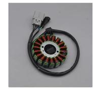 Para Benelli 302S BN302 Para Tornado TNT300 TNT250 TNT25 STELS 300 BN TNT 25 250 300 302 Ignición Magneto Bobina Estator 18 Bobinas Interruptor encendido motocicleta(Tnt25)