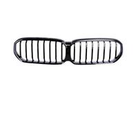 Para BMW 5 Para La Serie G30 G31 Para LCI 2020-2023 530 540 Rejilla De Parachoques Frontal Cubierta Doble Listón Rejilla Parachoques Delantero(Single gloss black)