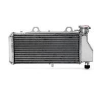 para BMW F650CS 01-05 02 F650GS 01-08 Dakar 01-07 G650GS 08-16 Sertao 12 13 14 15 Enfriador De Radiador Motor