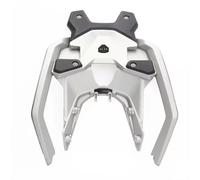 para BMW R1300GS 2024-2025 Portaequipajes para Motocicletas | Motocicleta Portaequipajes Accesorios Estante Fijación Carga Trasera Kit Reposabrazos Con Respaldo Trasero(Silvery)