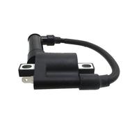 Para Bobina Encendido Alto Voltaje Para NC250 NC450 Para Zongshen 250cc 450cc Para BSE Para KAYO Dirt Bike Bobina De Encendido