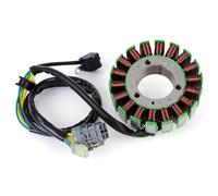 para Can-Am para DS250 para DS 250 2008 2009 2010 2011 2012 2013 2014 2015 2016 Bobina Estator De Motocicleta S31120RCA000 Bobina Estator Reemplace
