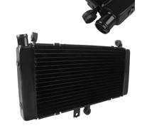 para CB900 CB919F Hornet 900 2002-2007 2006 2005 2004 Refrigerador del Radiador De La Motocicleta Protector Refrigeración Accesorios para Tanque Agua