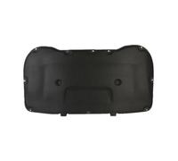 Para Citroën C5 X C5x 2021-2024 Aislamiento Térmico Capó | Almohadilla de aislamiento térmico acústico para capó delantero del motor con absorción acústica