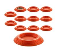 para cucarachas | Recintos Antideslizantes Terrarios Bandeja de alimentación | Plato de alimentación pequeño para cucarachas | para coletas de Resorte, milpiés, invertebrados Enanos