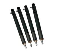 Para Delphi Para Kia Para Bongo 3 2.9L Para CRDI EJBR02501Z 4 Uds Para EJBR03001D 33800-4X900 Boquilla De Inyector De Combustible Diésel Kits inyección combustible