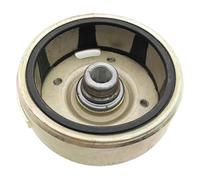 Para DIO50 DIO 17/18/24/27/28 AT55 scooter de dos tiempos 50. Rotor magnético bobina estator motocicleta adecuado(Black)