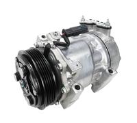 para Dongfeng, para Fengshen, para S30 L60 A60 AX3 AX5 AX7 E70 Yixuan A9 Compresor de Aire Acondicionado automotriz Bomba de frío Striving Bird (compresor S30 H30 1.6)