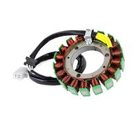 Para EJ650 W650 1999 2000 2001 2002 2003 2004 2005 2006 2007 2008 Para EJ400 W400 2006-2008 21003-1348 21003-1384 Bobina De Estator De Motocicleta