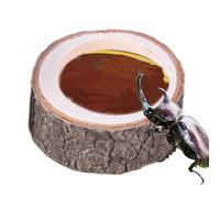 Para el agua para tortugas - para el agua para reptiles, bandeja para la alimentación con tazas de granos de madera, centro de hidratación para herpetología resistente, depósito para