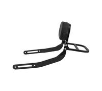 Para ELIMINATOR 500 SE 2024 2025 Para Eliminator 400 450 500 2023-2025 Respaldo Para Motocicleta Portaequipajes Trasero Pasajeros